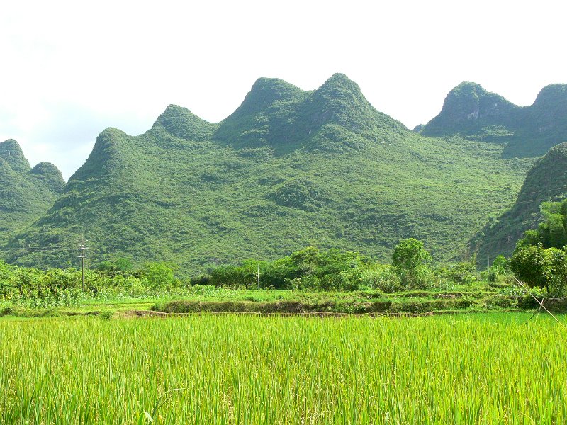 Yangshou (046).jpg
